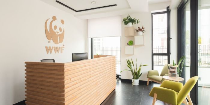 Fundacja WWF Polska - wyposażenie wnętrz biurowych
